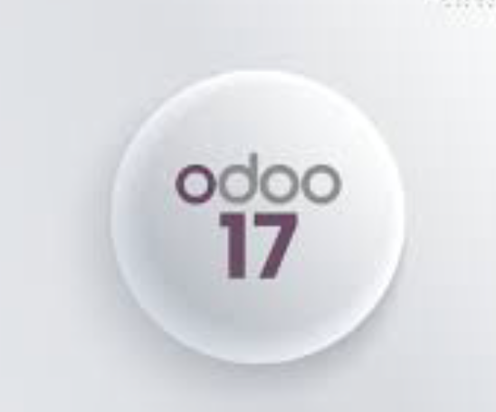 Odoo 17 Instance Hosting (Monthly)